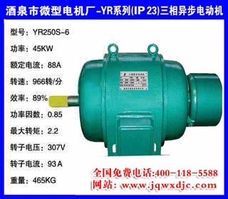 45KW ���� YRϵ��(IP23)�����첽�綯�� YR250S-6